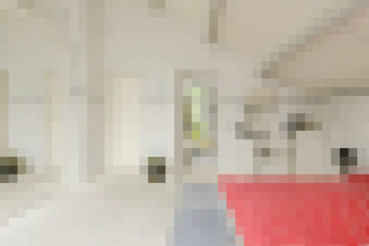 Zuilenstraat 16 Breda thumbnail 36