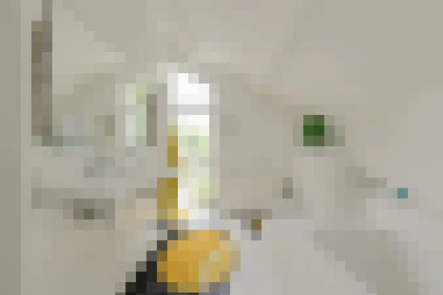 Zuilenstraat 16 Breda thumbnail 37