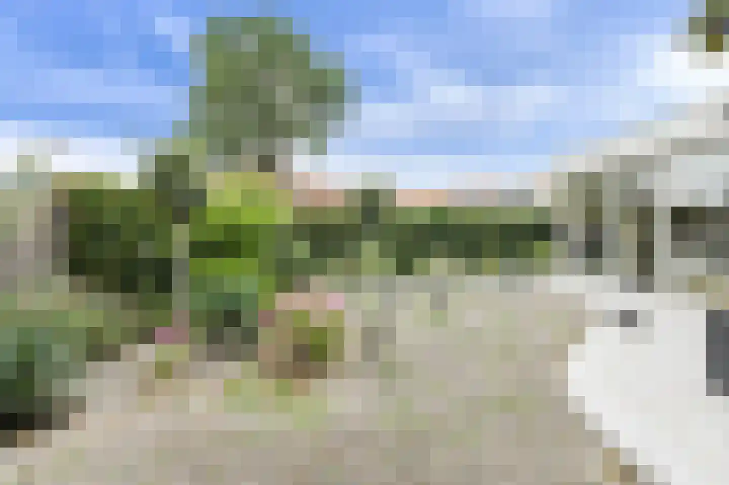 Zuilenstraat 16 Breda thumbnail 5