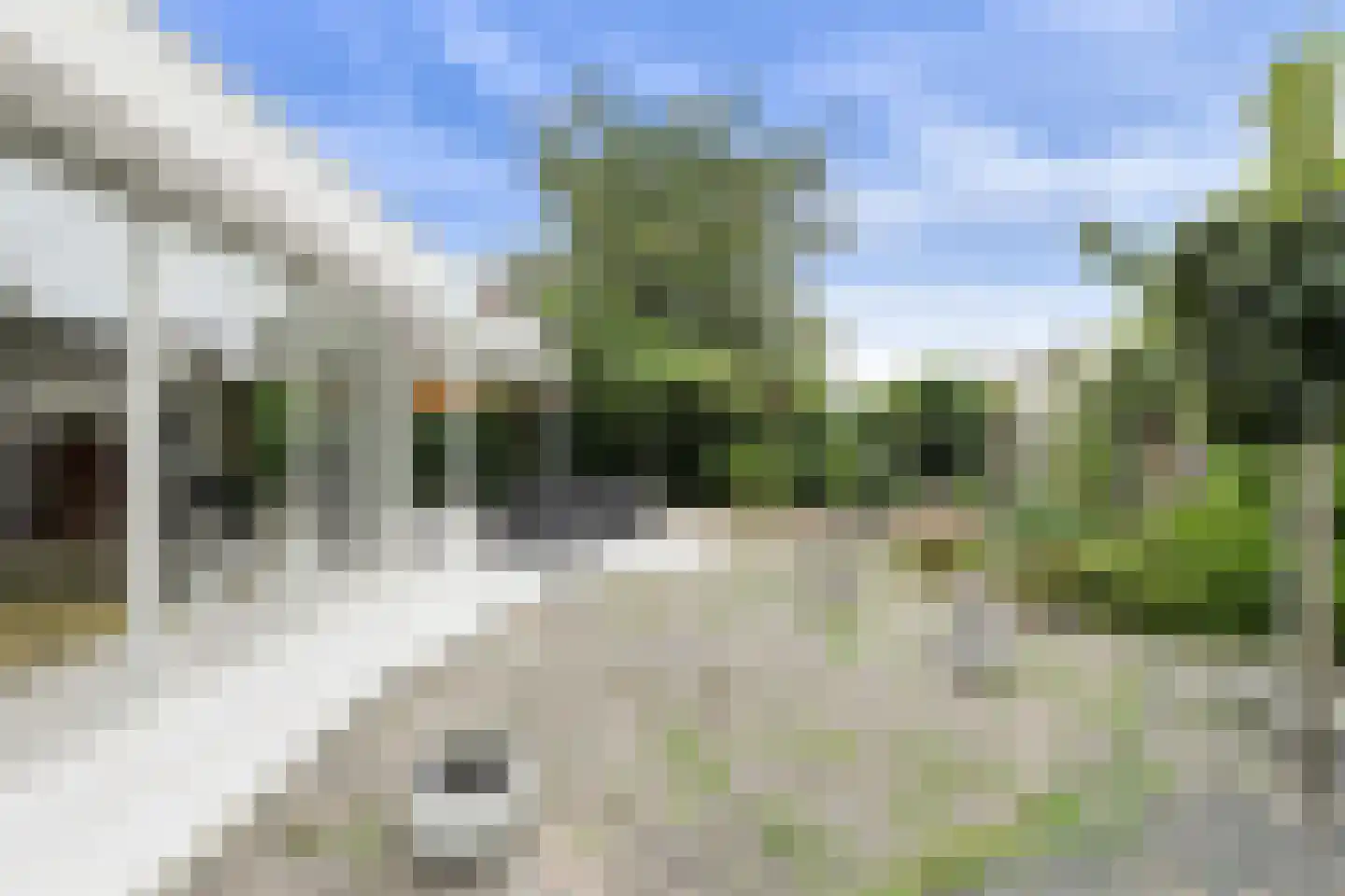 Zuilenstraat 16 Breda thumbnail 50