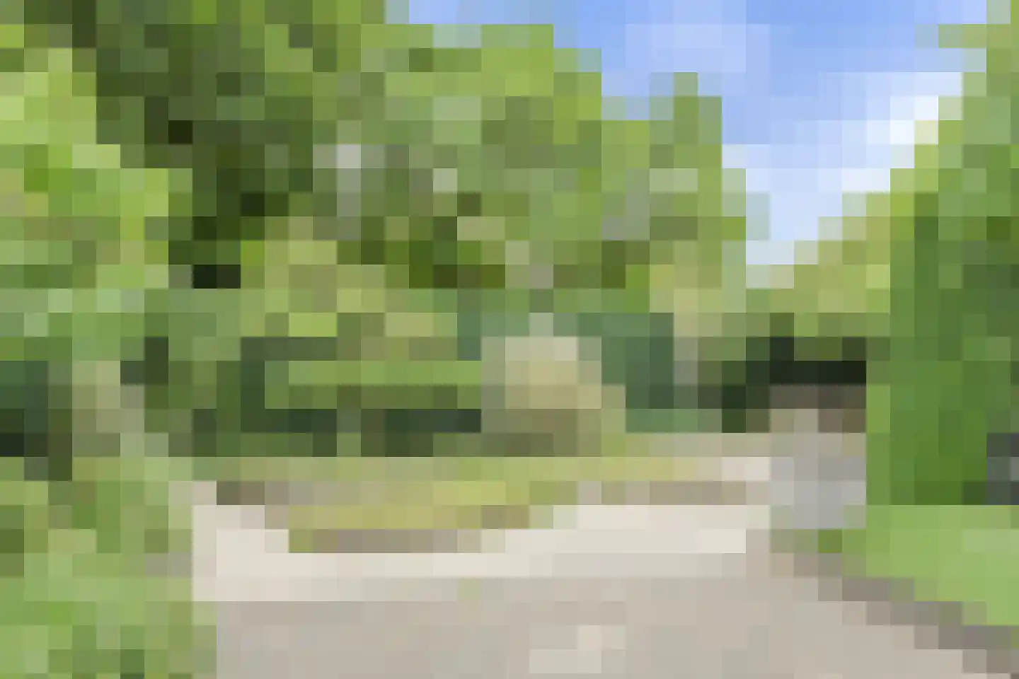 Zuilenstraat 16 Breda thumbnail 52