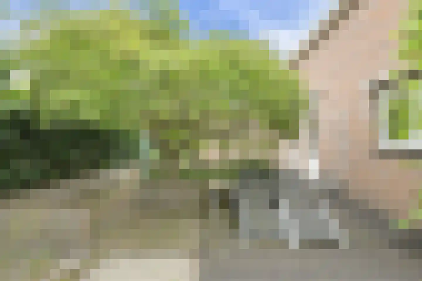 Zuilenstraat 16 Breda thumbnail 53