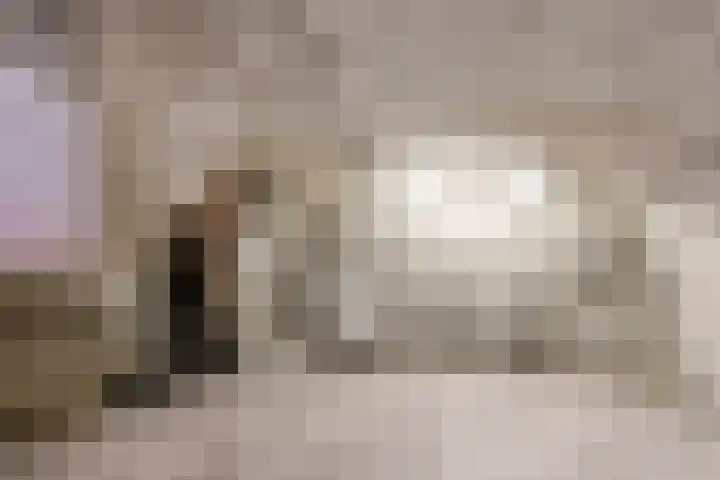 Zuilenstraat 19 Utrecht thumbnail 13