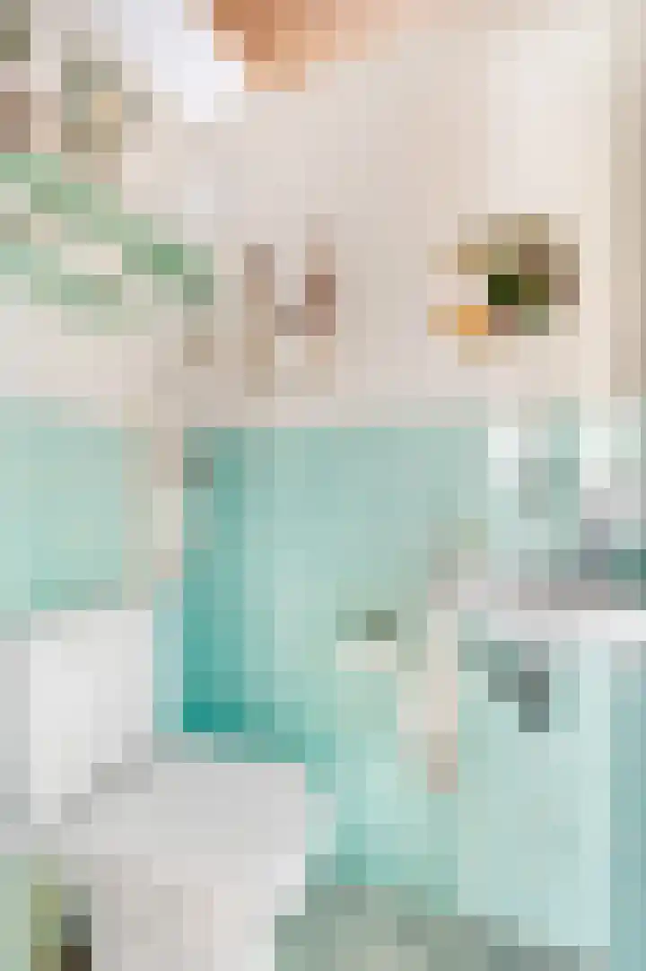 Zuilestein 6 Ede thumbnail 15