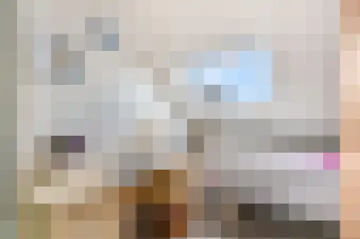 Zuilestein 6 Ede thumbnail 18