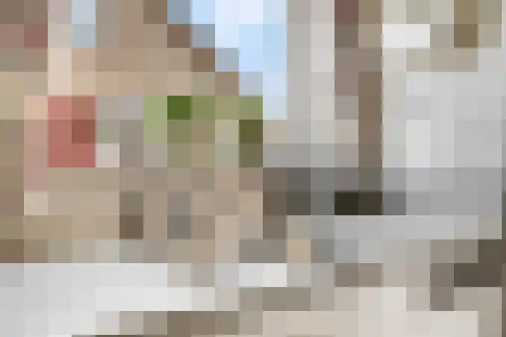 Zuilestein 6 Ede thumbnail 4