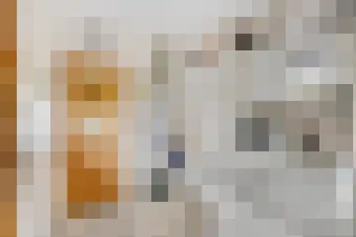 Zuilestein 6 Ede thumbnail 5