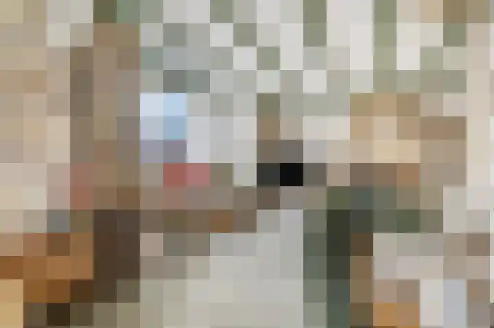 Zuilestein 6 Ede thumbnail 6