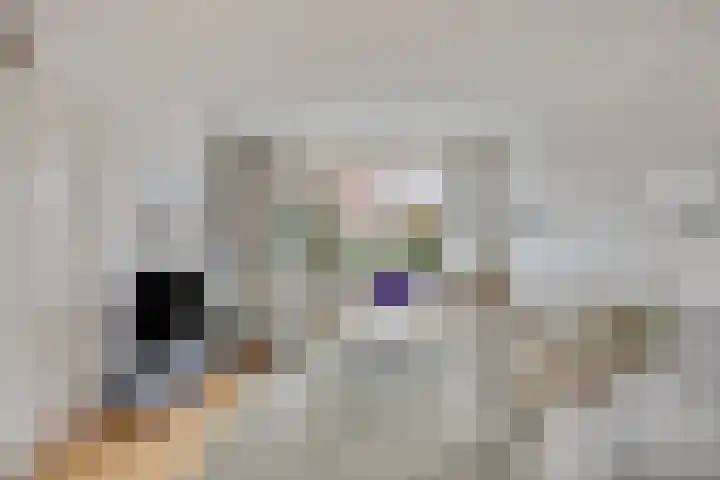 Zuilestein 8 Leiderdorp thumbnail 13