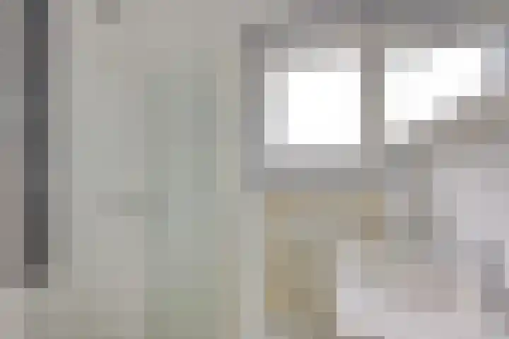 Zuilestein 8 Leiderdorp thumbnail 4
