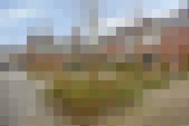 Zuilestein 8 Leiderdorp thumbnail 47