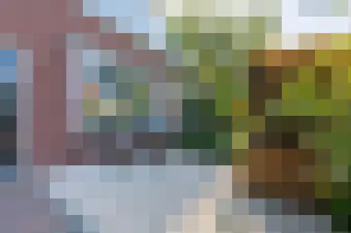 Zuilestein 9 Leiderdorp thumbnail 43