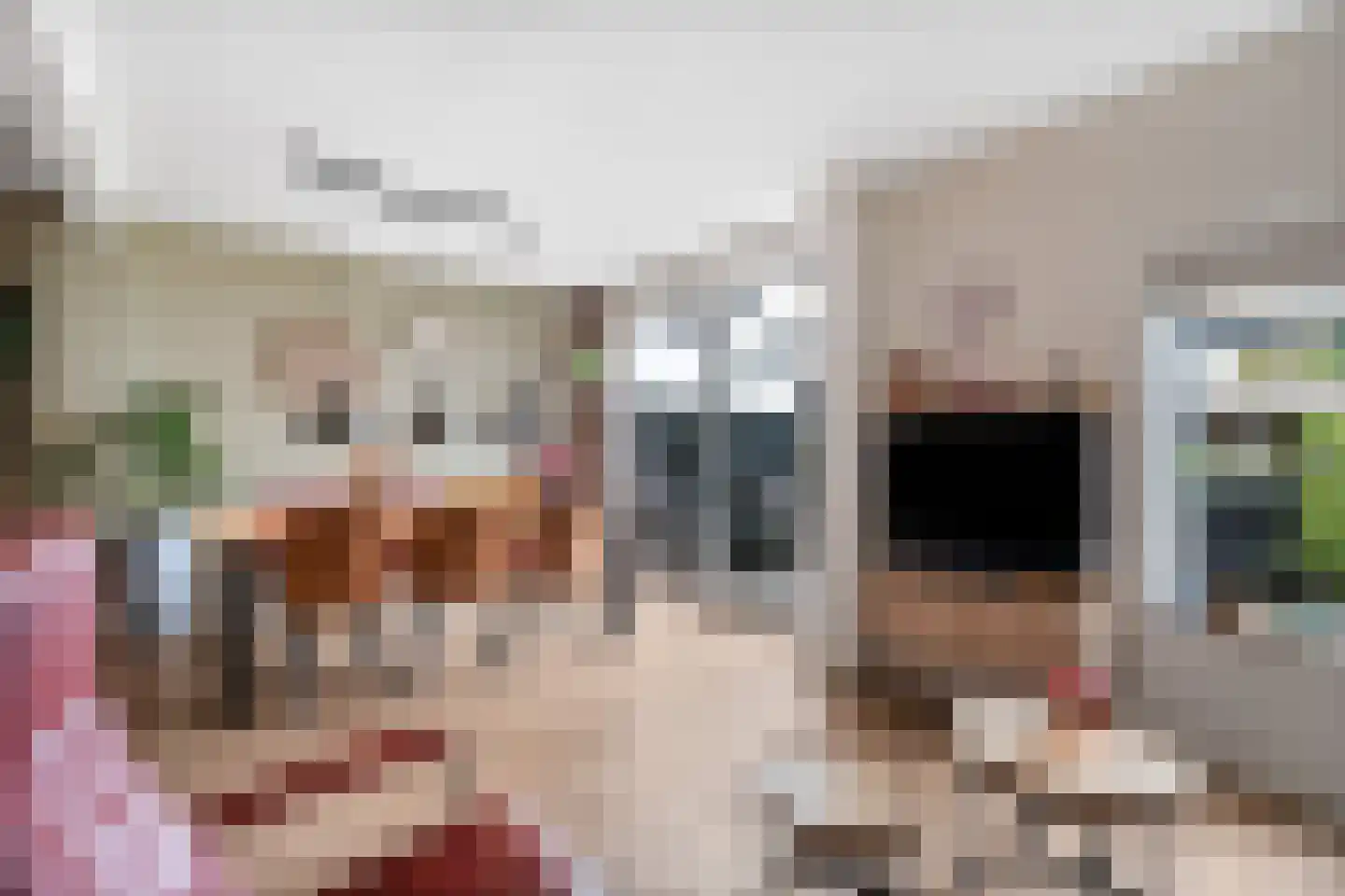 Zuilesteinlaan 24 Arnhem thumbnail 12