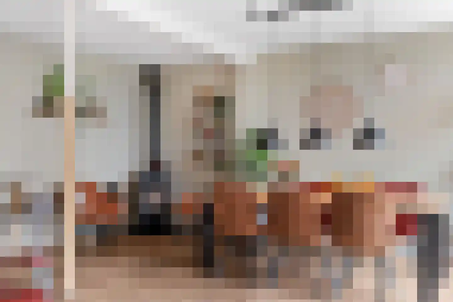 Zuilesteinlaan 24 Arnhem thumbnail 13