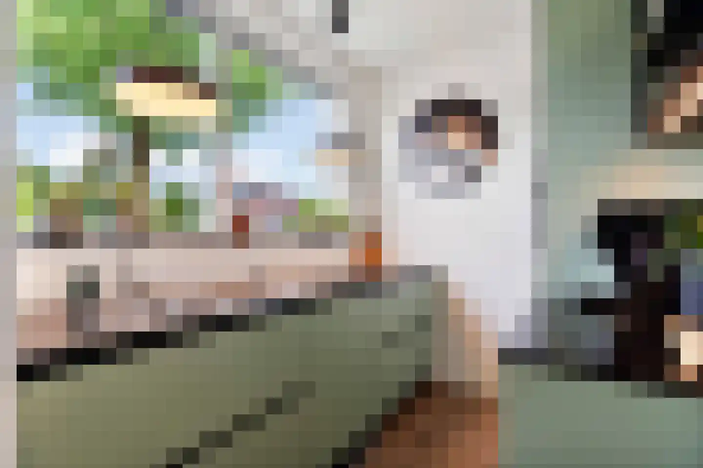 Zuilesteinlaan 24 Arnhem thumbnail 16