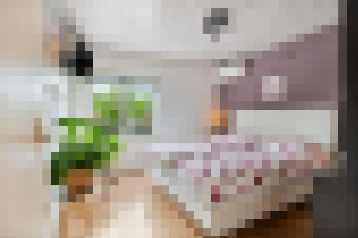 Zuilesteinlaan 24 Arnhem thumbnail 20