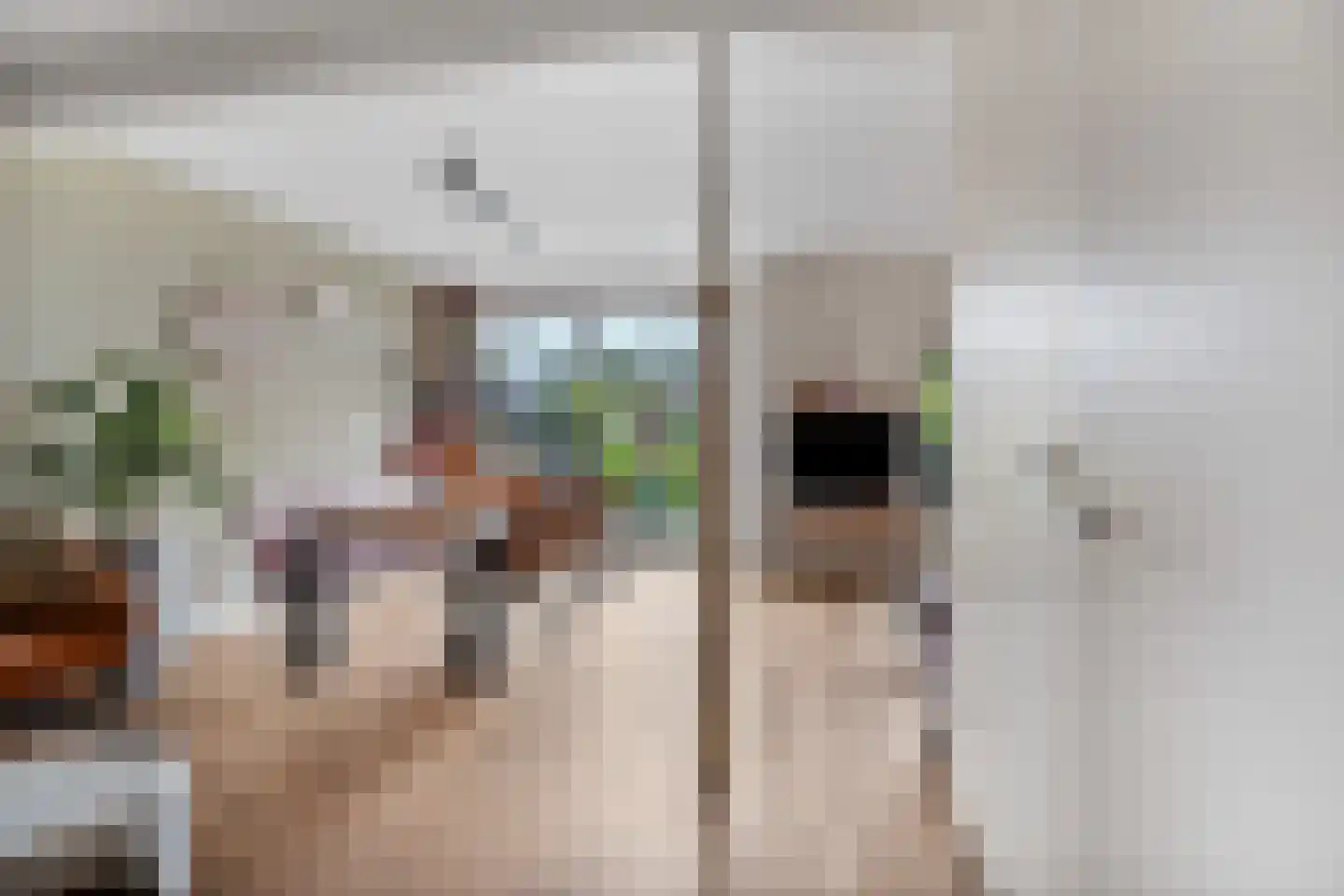 Zuilesteinlaan 24 Arnhem thumbnail 7