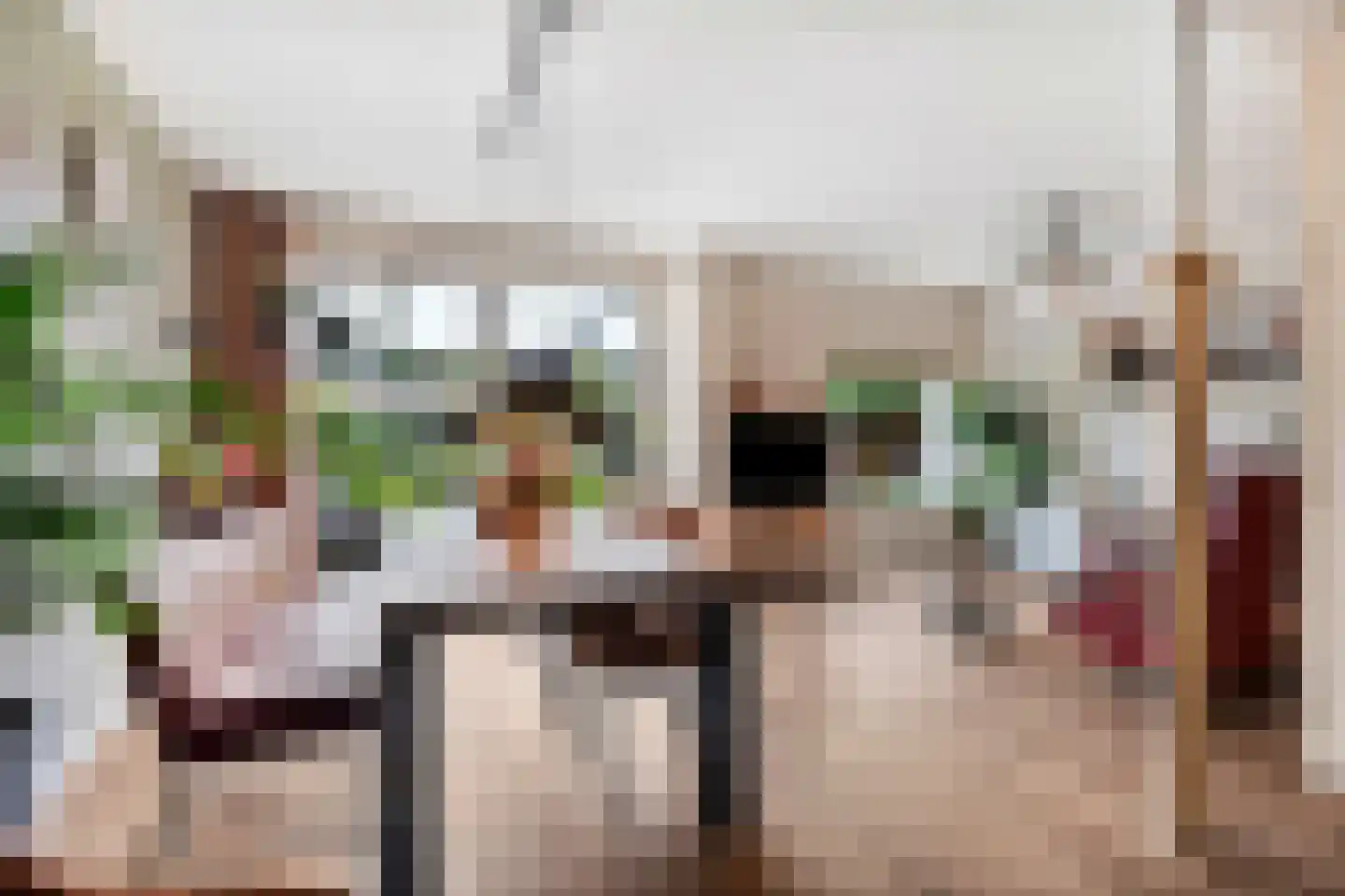 Zuilesteinlaan 24 Arnhem thumbnail 8