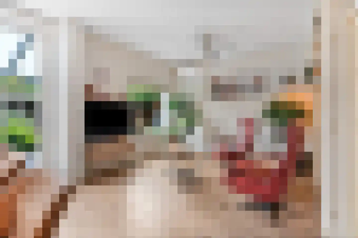 Zuilesteinlaan 24 Arnhem thumbnail 9