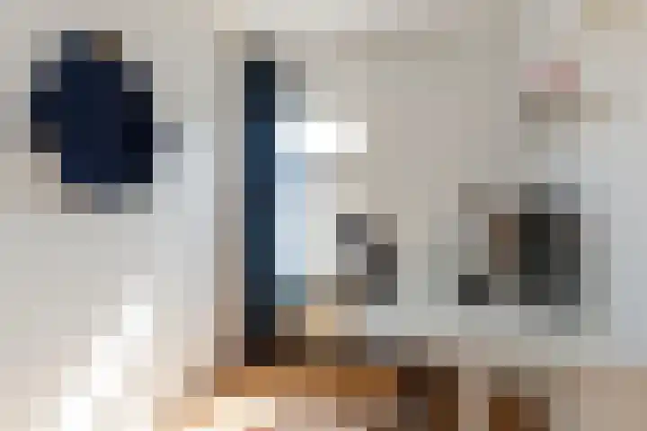 Zuileveld 17 Vleuten thumbnail 20