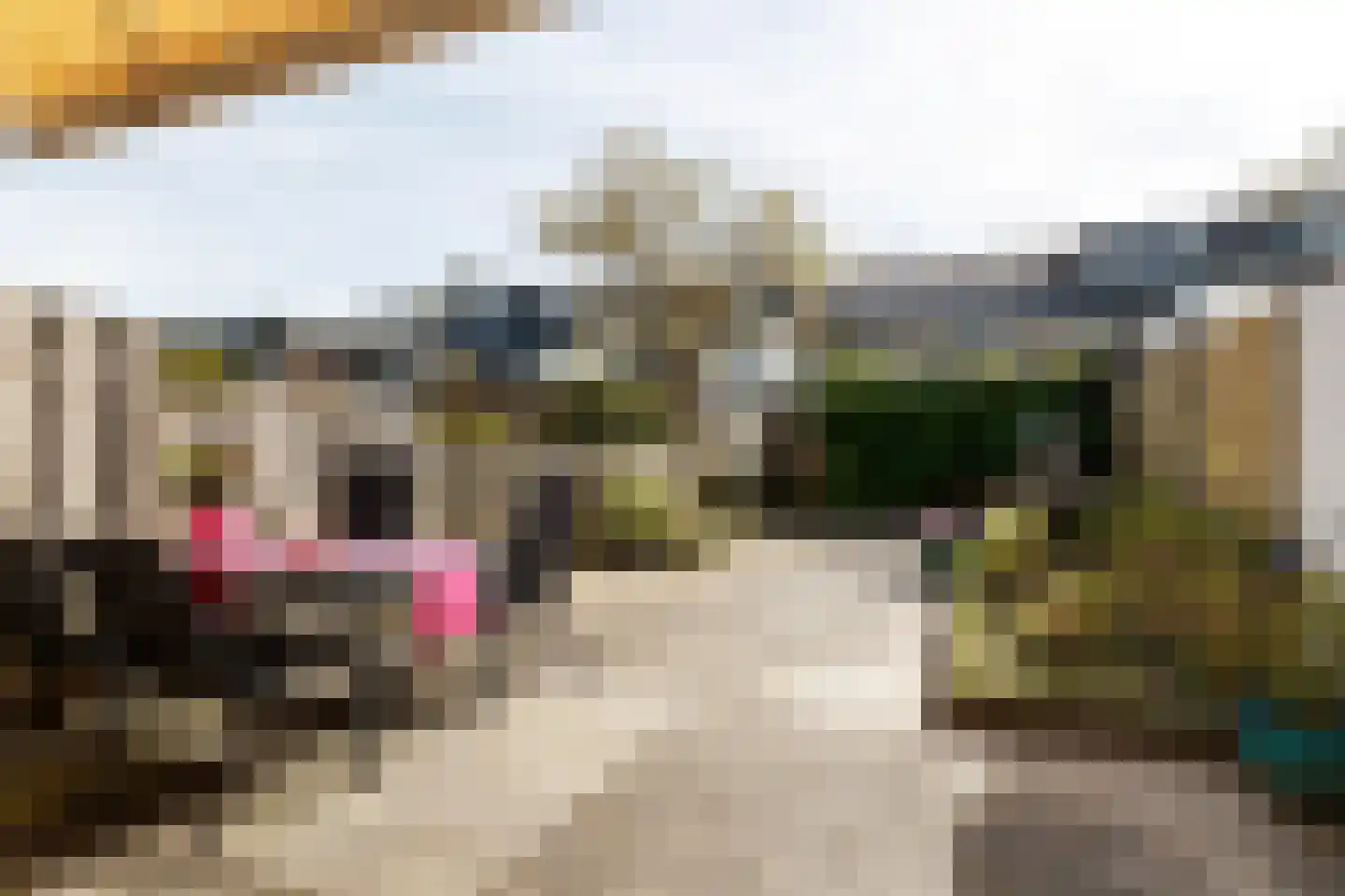 Zuileveld 17 Vleuten thumbnail 26