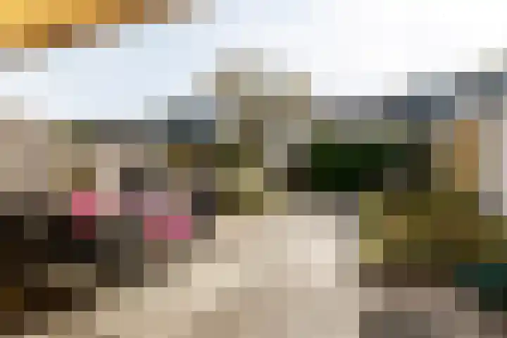 Zuileveld 17 Vleuten thumbnail 26