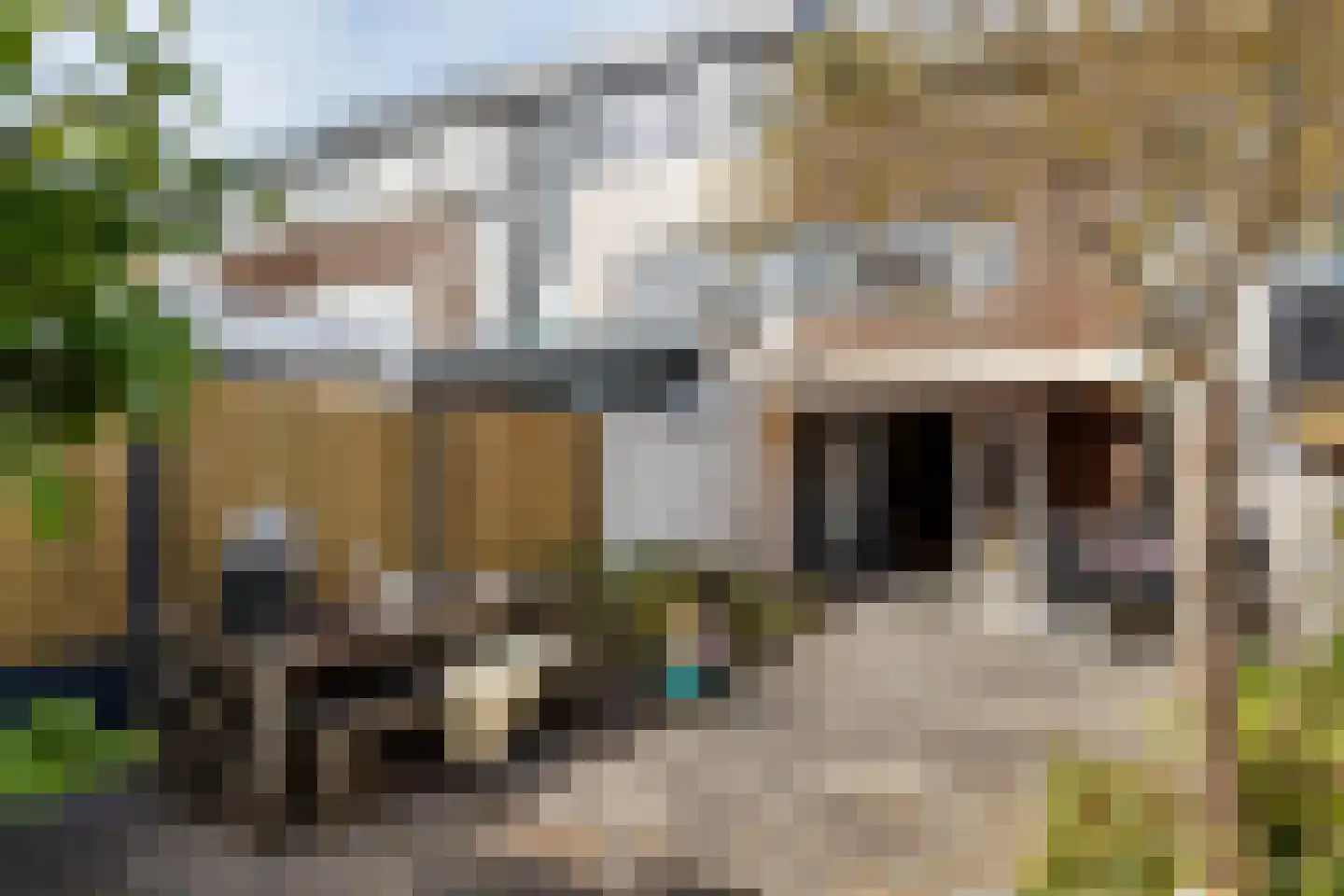 Zuileveld 17 Vleuten thumbnail 27