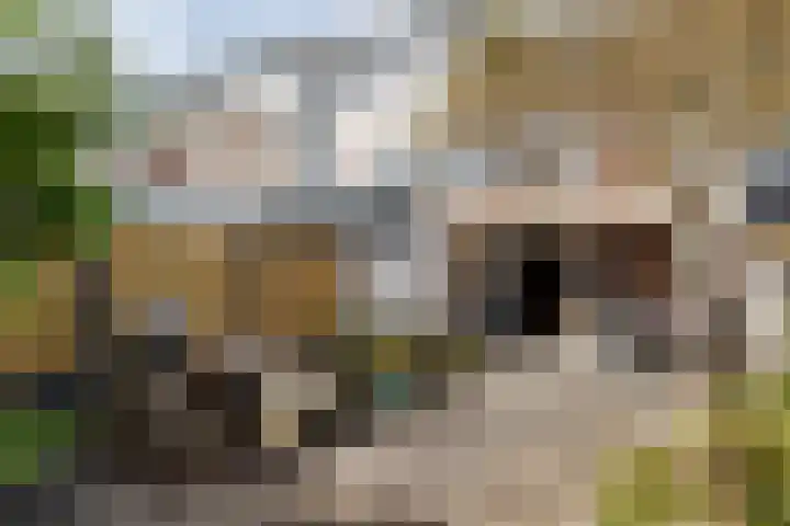 Zuileveld 17 Vleuten thumbnail 27