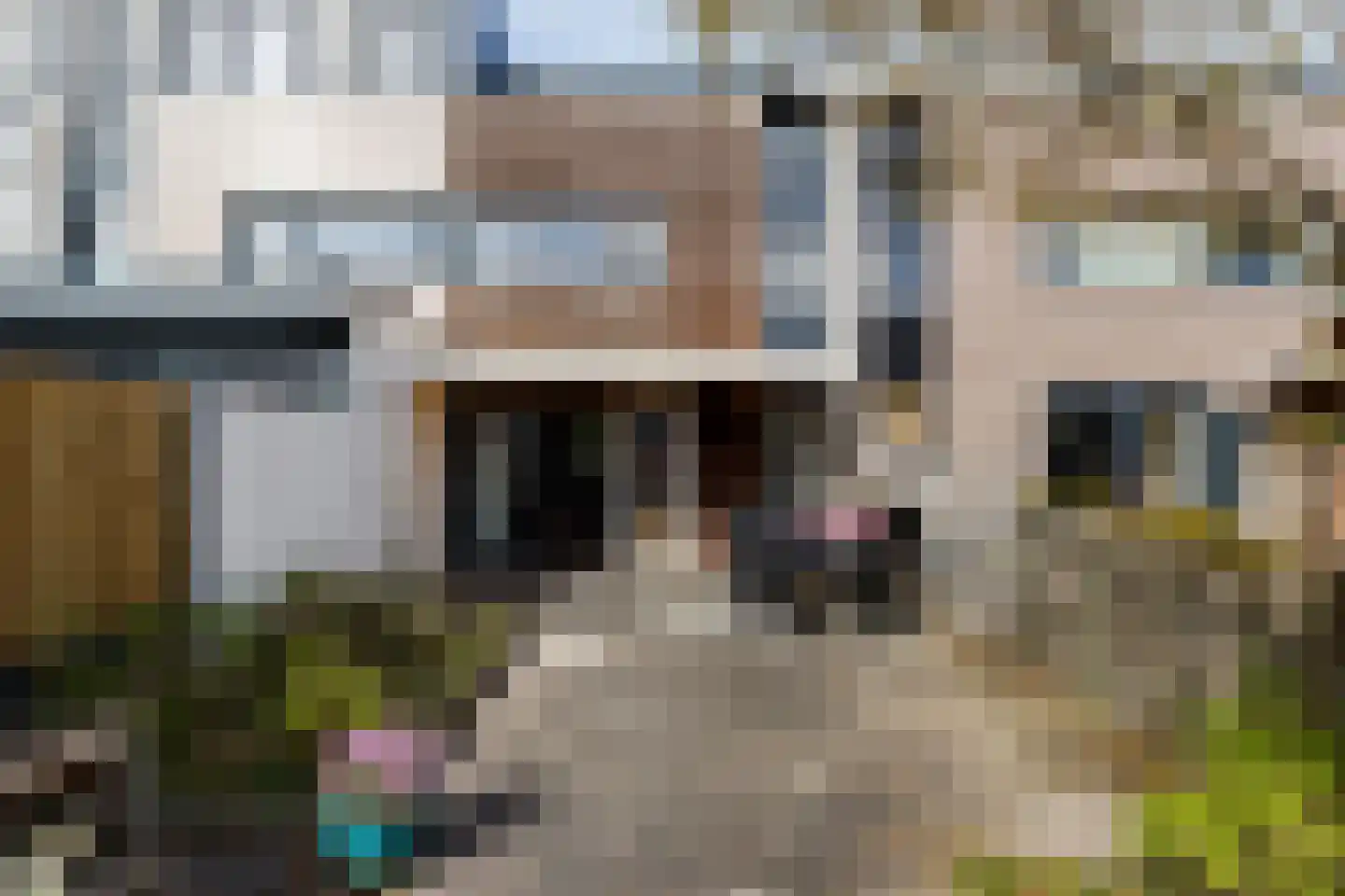Zuileveld 17 Vleuten thumbnail 28