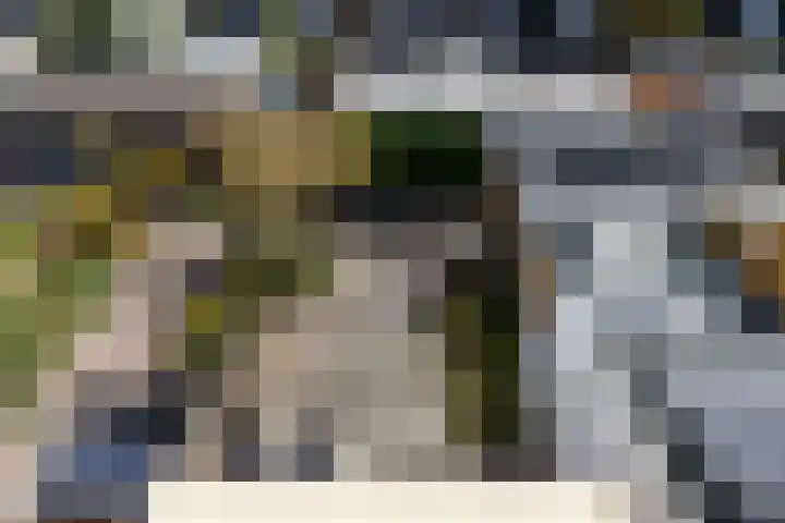Zuileveld 17 Vleuten thumbnail 30