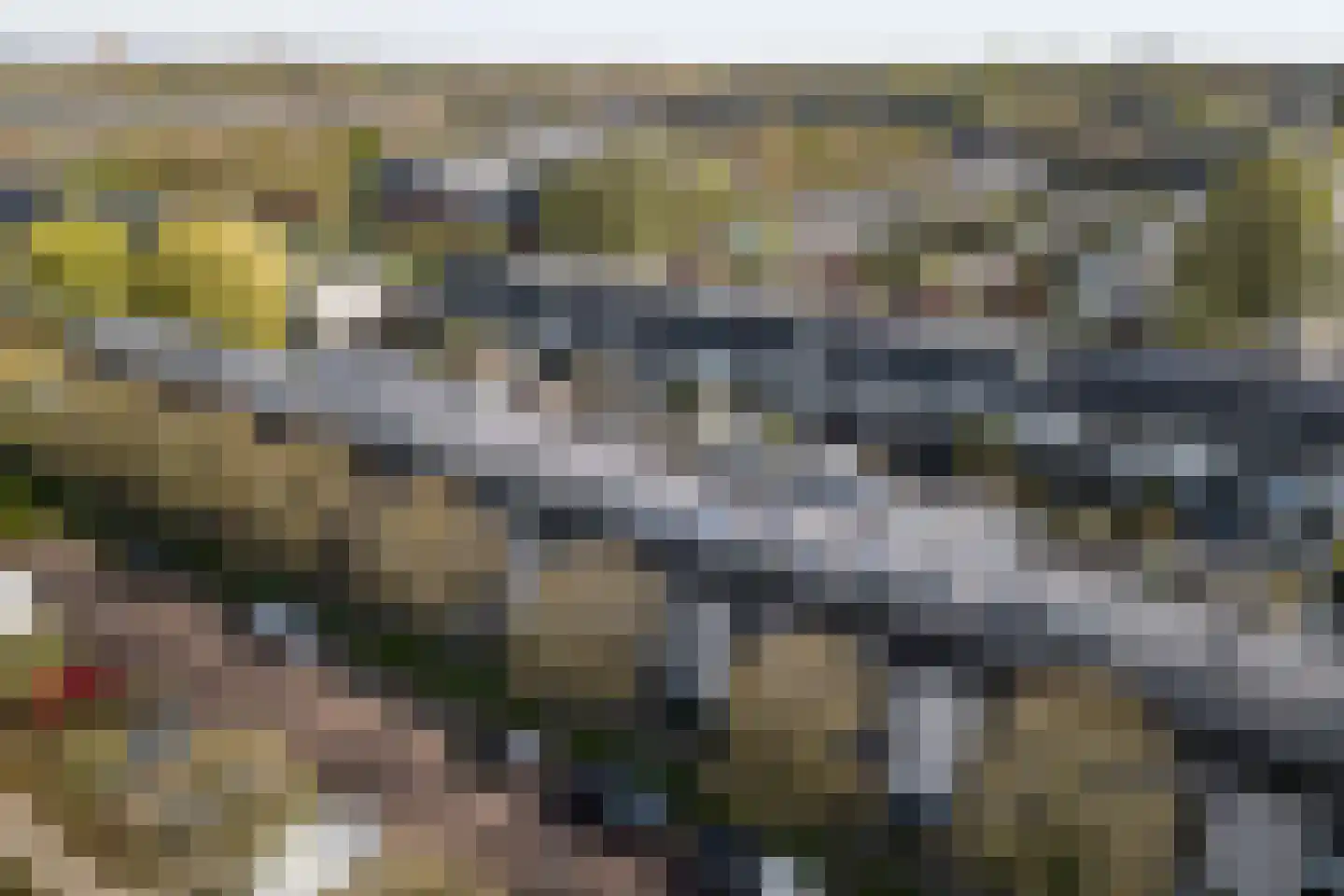 Zuileveld 17 Vleuten thumbnail 32