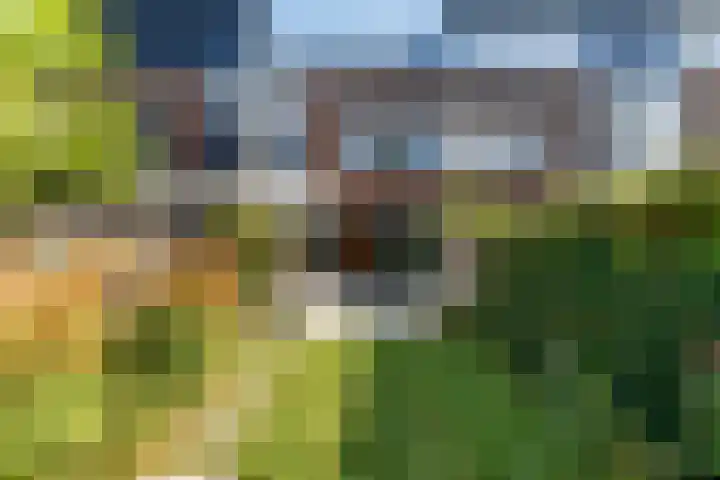 Zuileveld 7 Vleuten thumbnail 14
