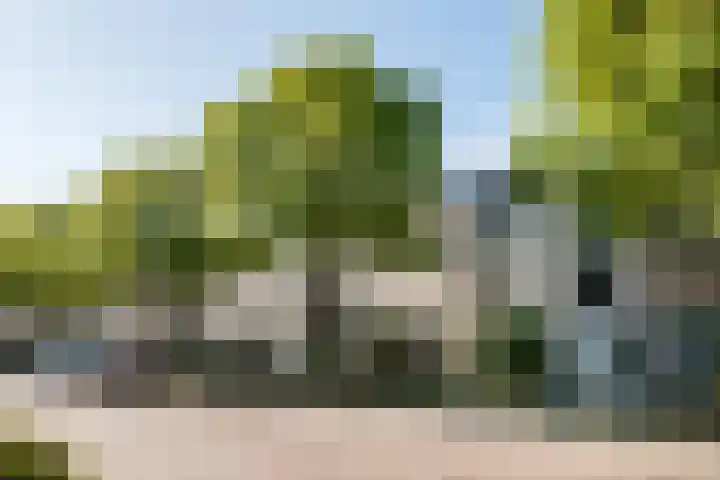 Zuileveld 7 Vleuten thumbnail 22