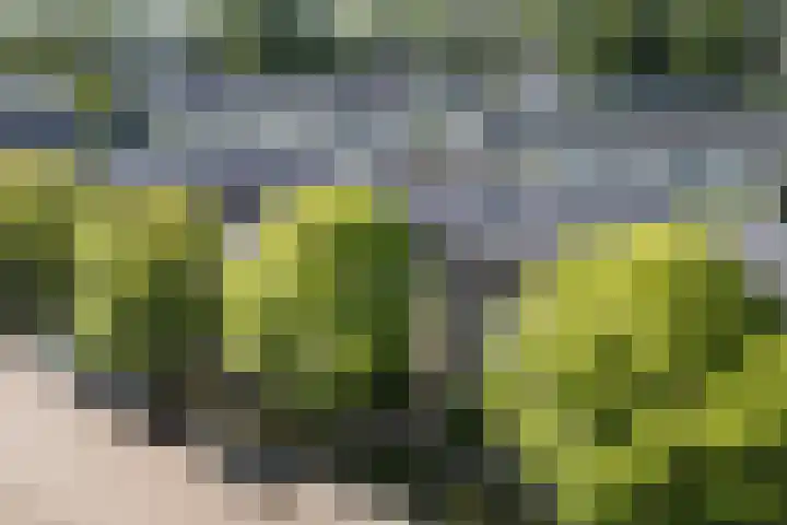 Zuileveld 7 Vleuten thumbnail 25