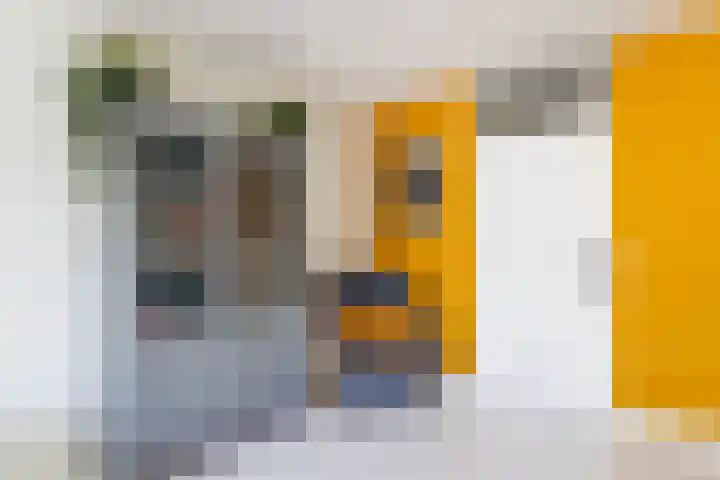 Zuileveld 7 Vleuten thumbnail 5