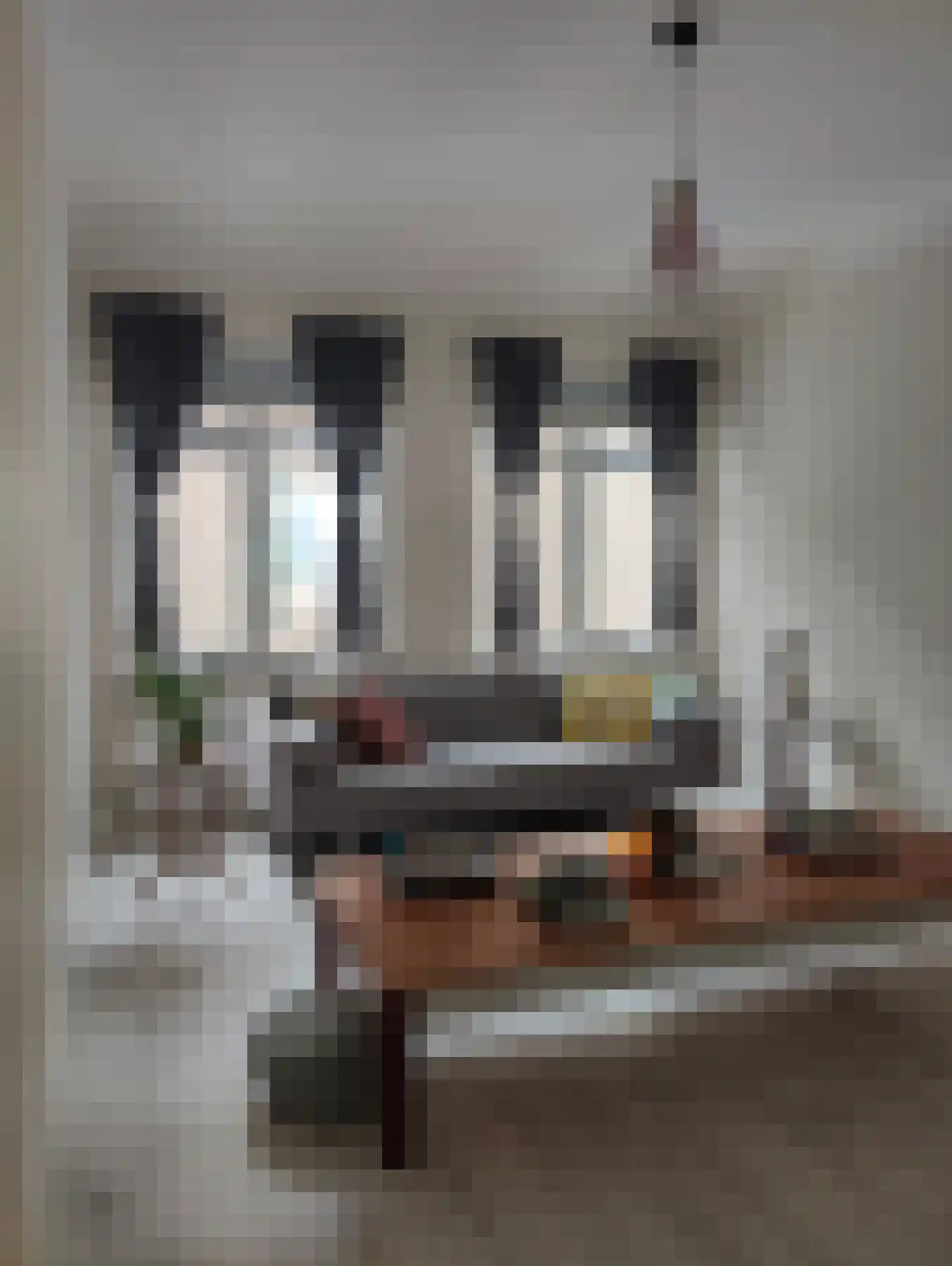 Zuilingstraat 109 Den Haag thumbnail 12