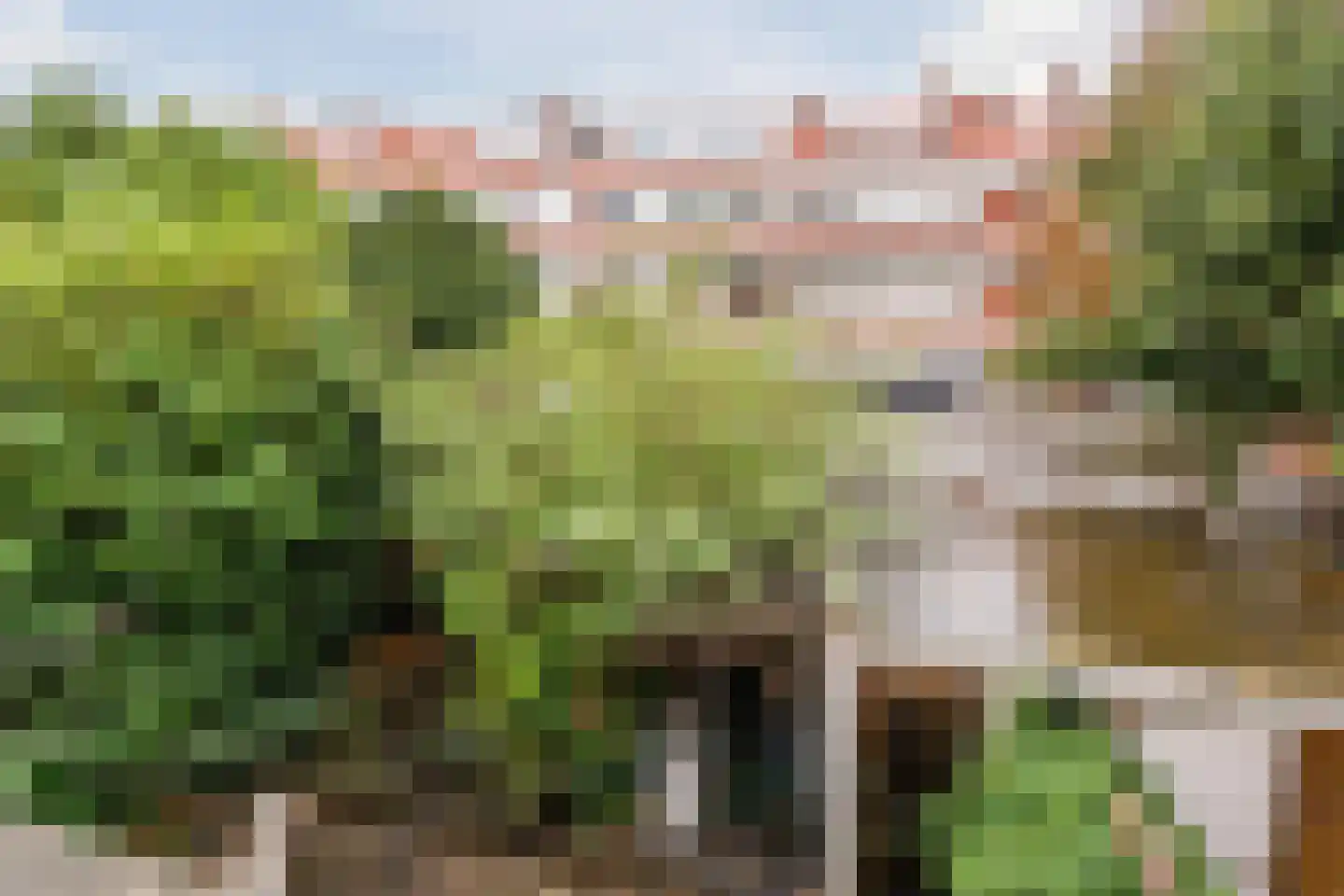 Zuilingstraat 109 Den Haag thumbnail 35