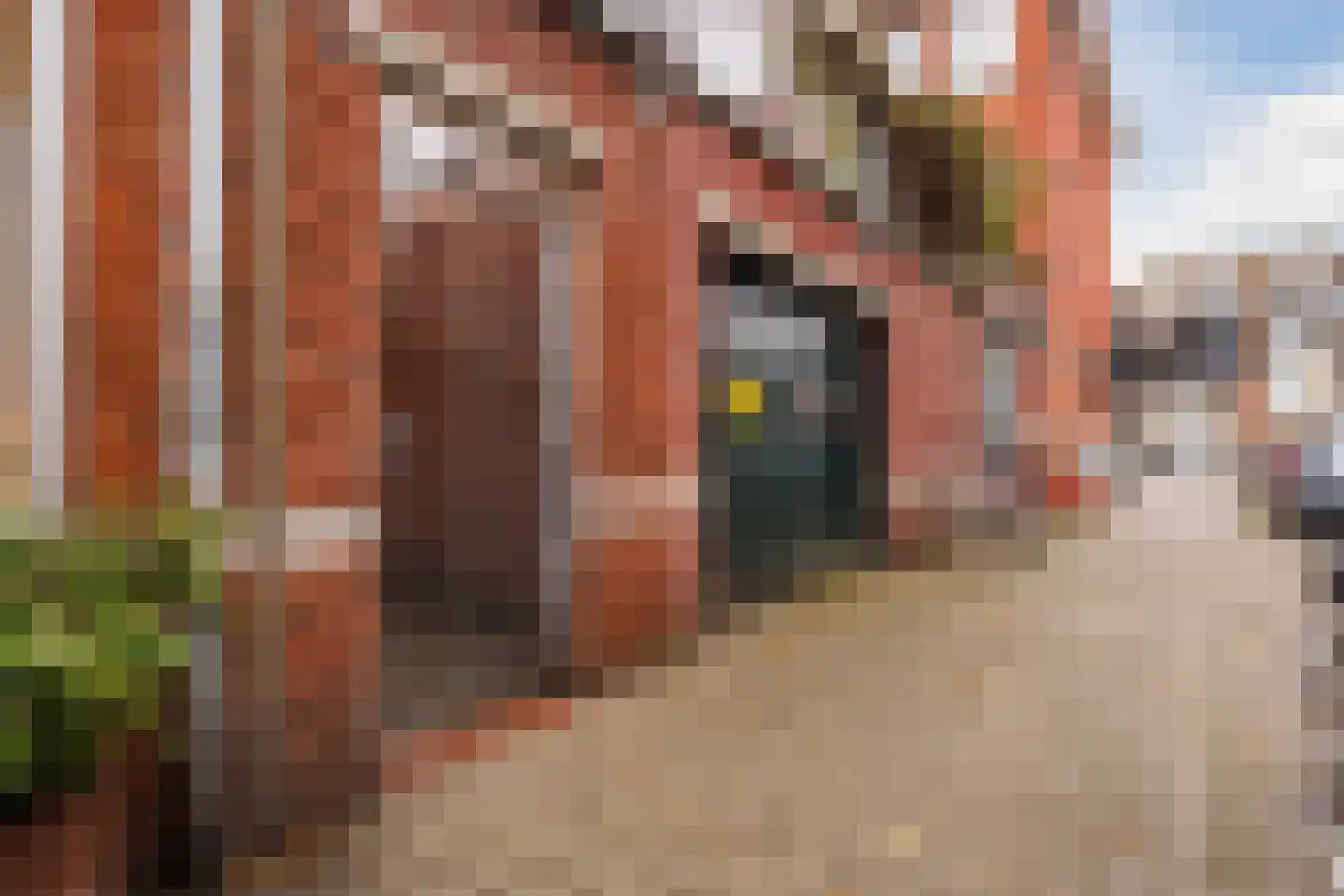 Zuilingstraat 109 Den Haag thumbnail 37