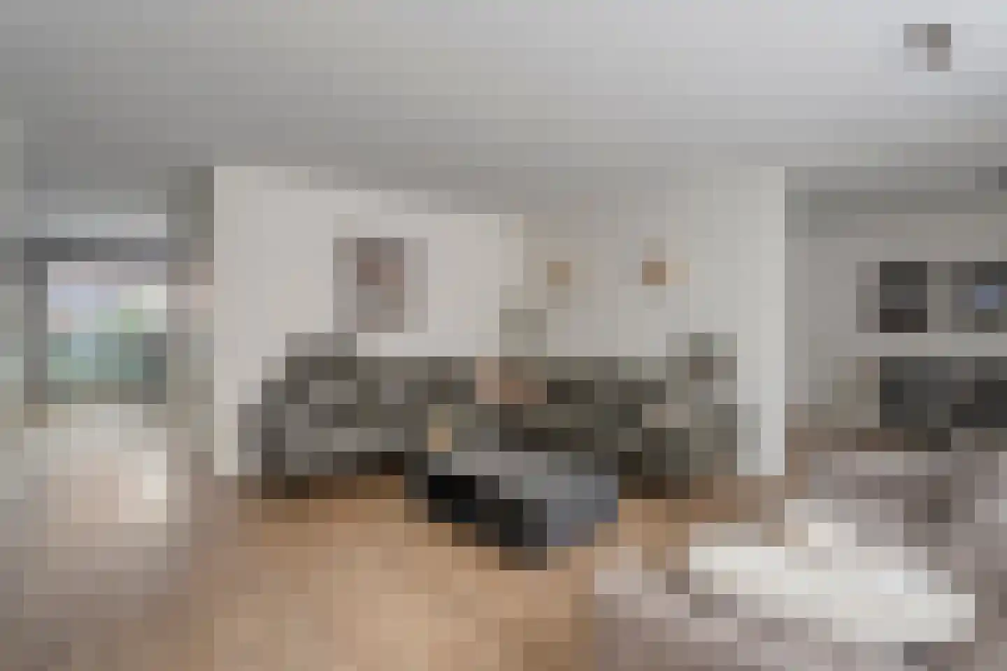 Zuivelhof 1 Raalte thumbnail 10