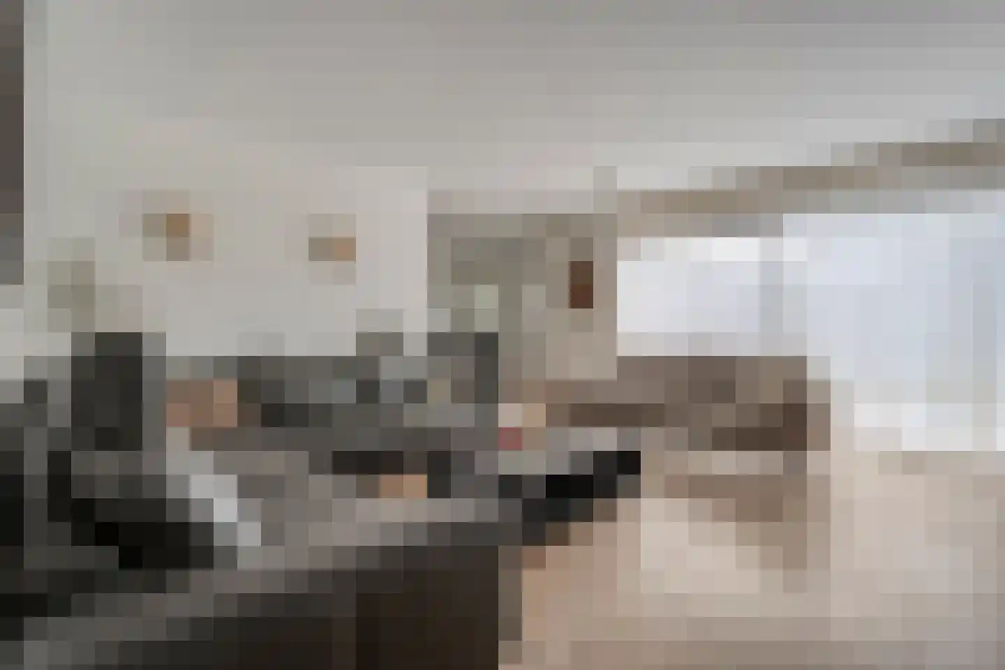 Zuivelhof 1 Raalte thumbnail 11