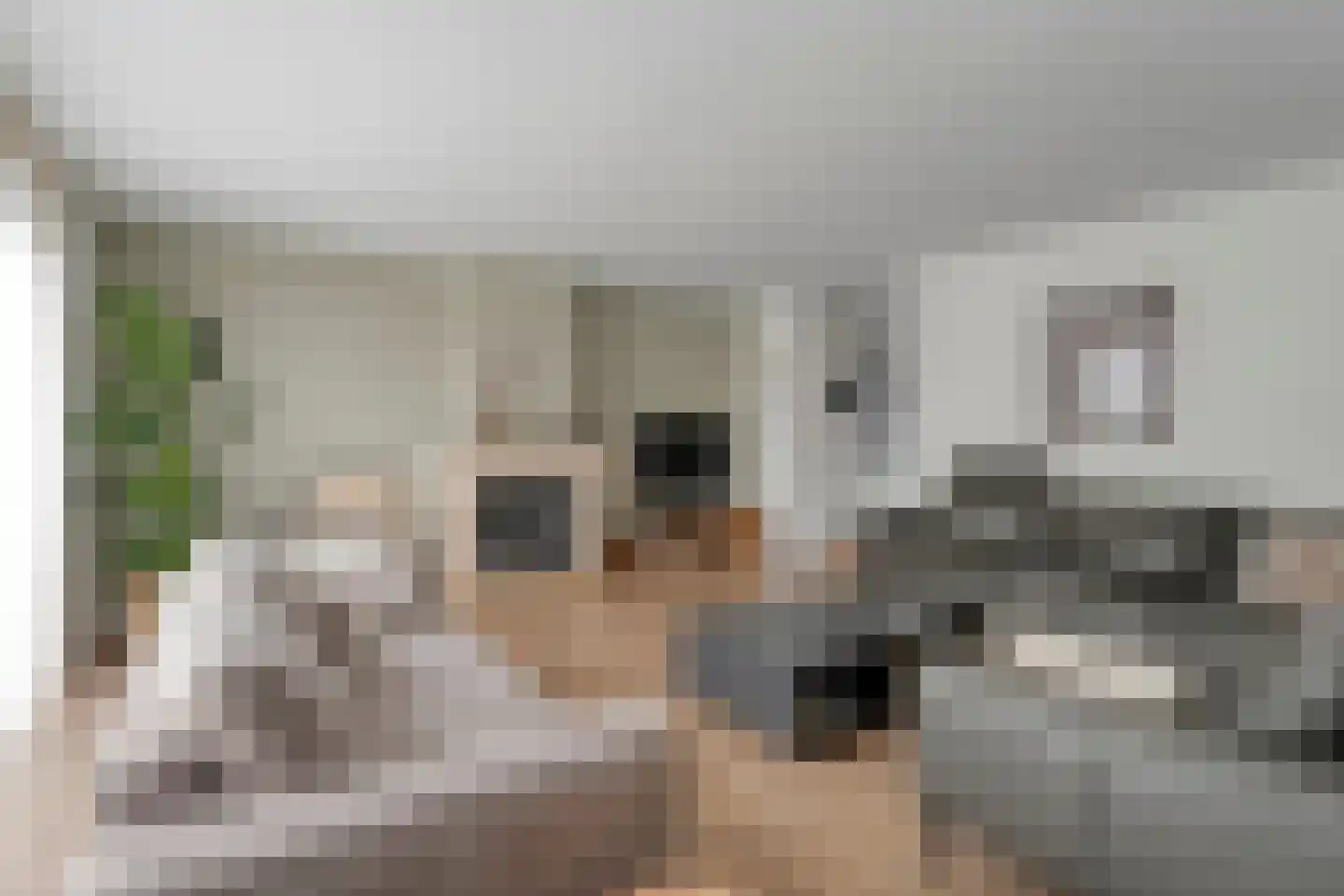 Zuivelhof 1 Raalte thumbnail 12