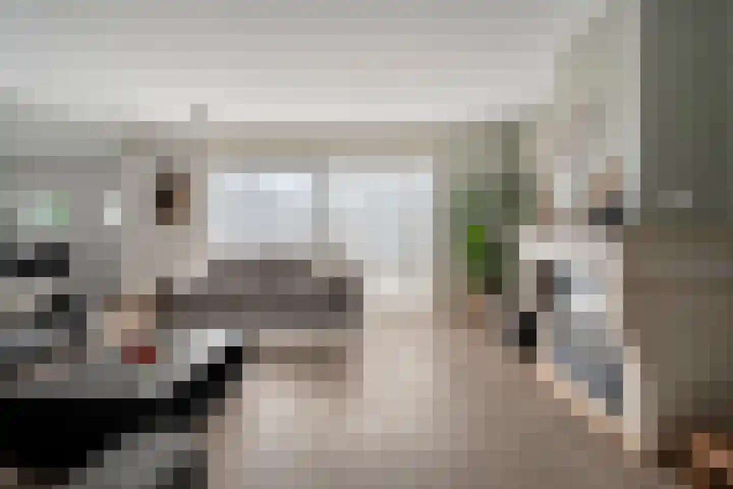 Zuivelhof 1 Raalte thumbnail 14