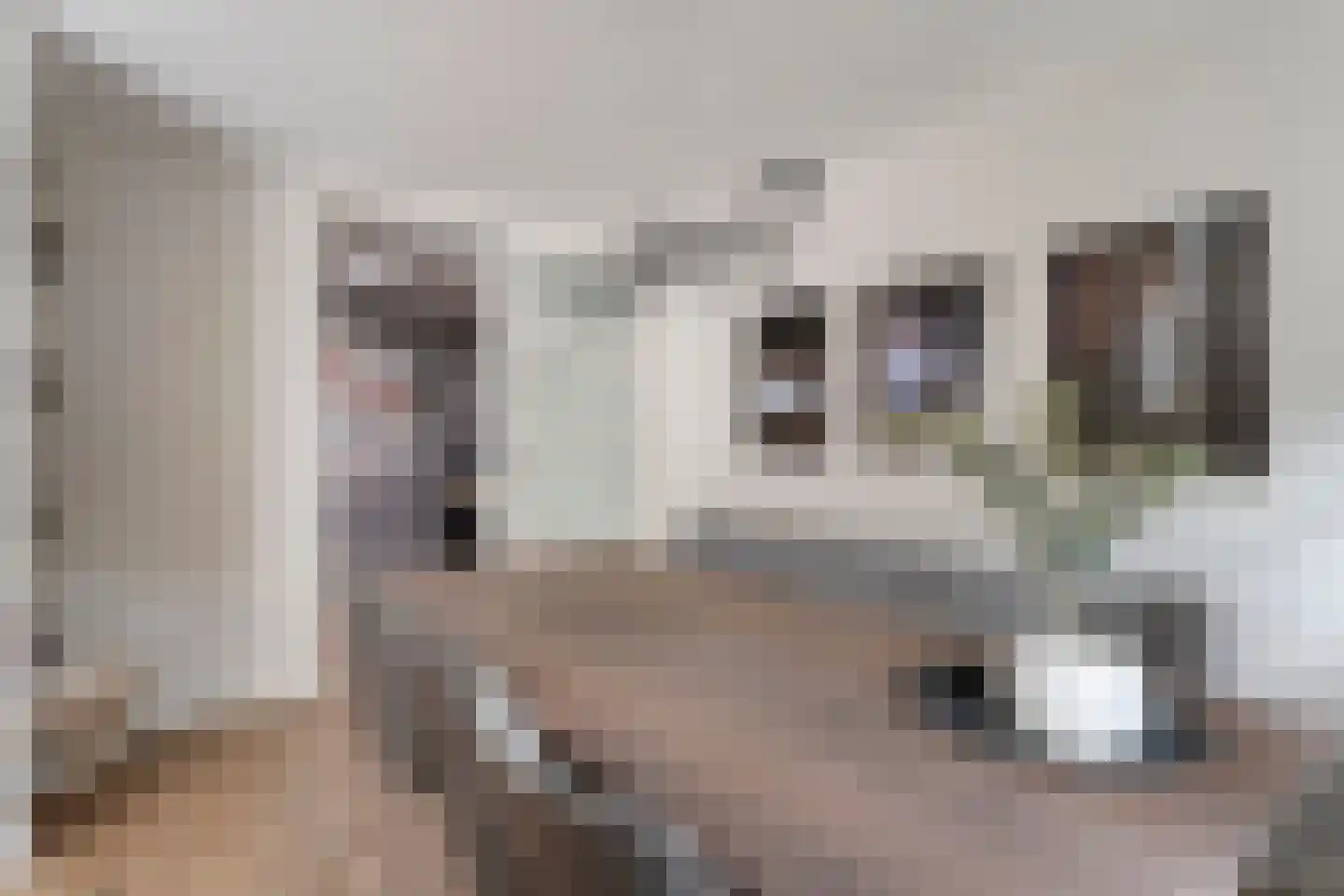Zuivelhof 1 Raalte thumbnail 16
