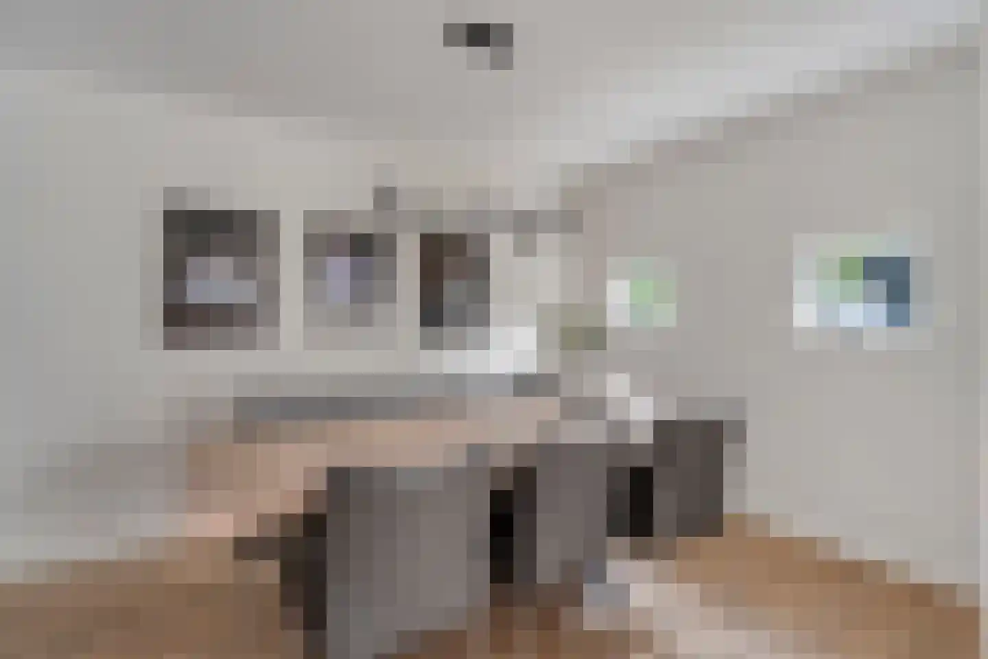 Zuivelhof 1 Raalte thumbnail 19
