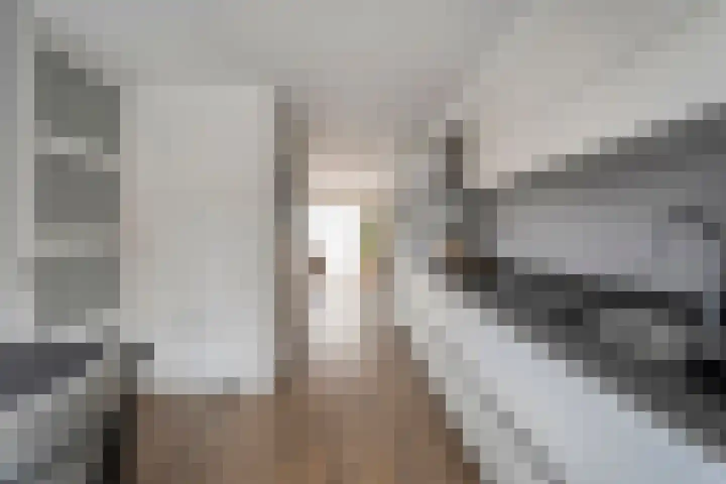 Zuivelhof 1 Raalte thumbnail 20