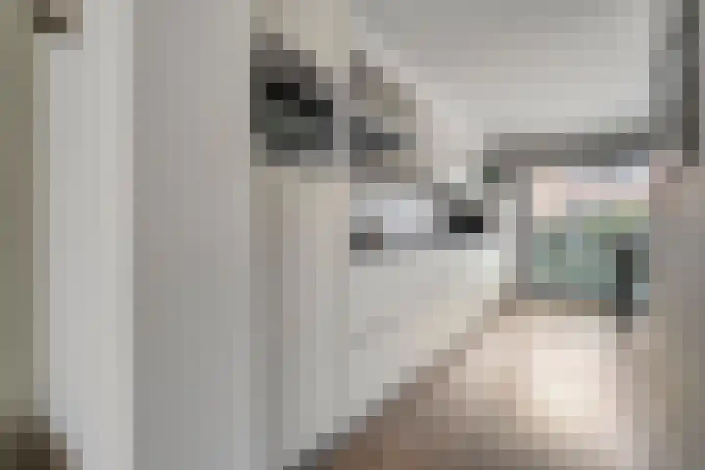 Zuivelhof 1 Raalte thumbnail 22