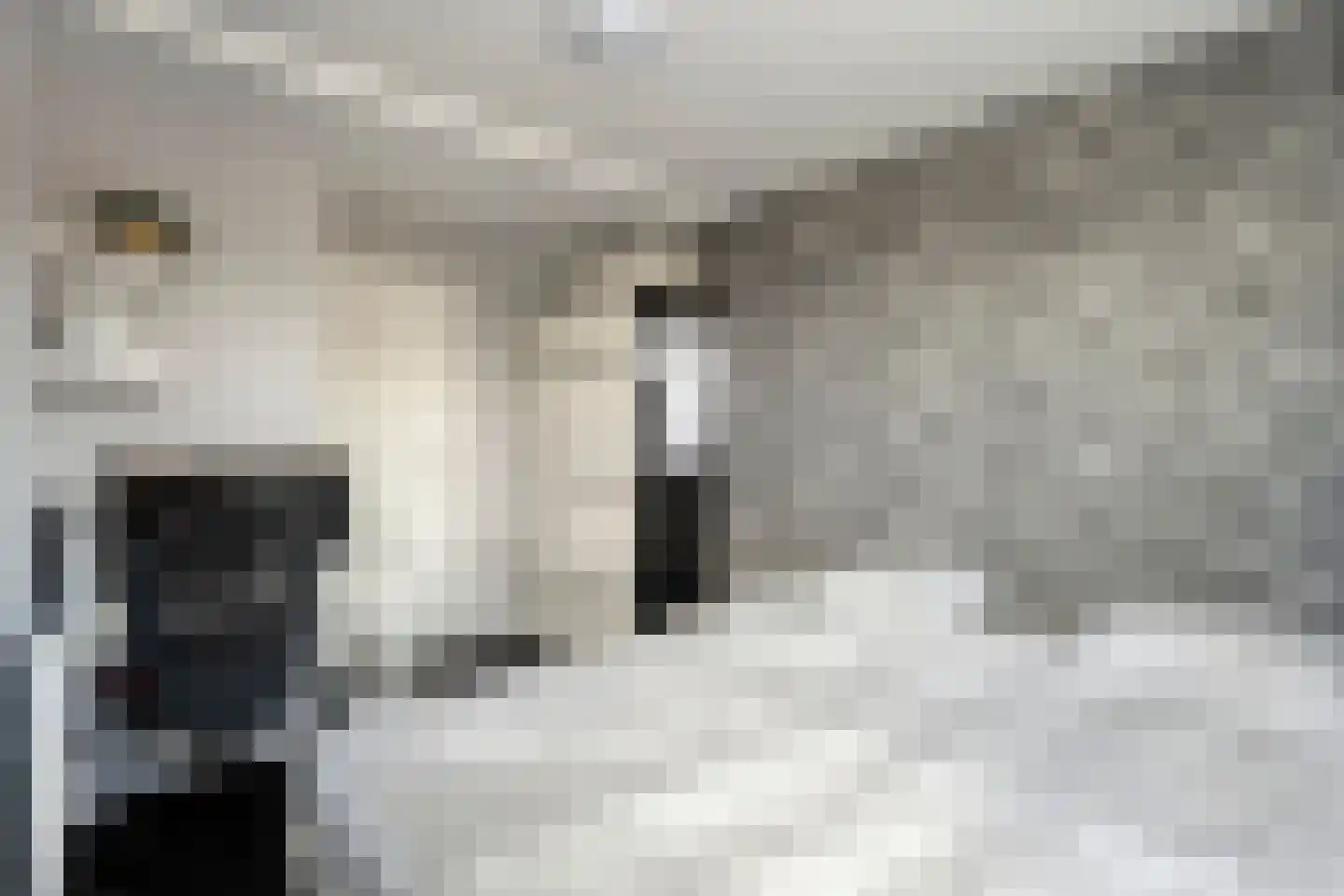Zuivelhof 1 Raalte thumbnail 43