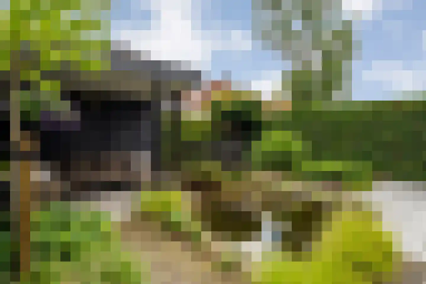 Zuivelhof 1 Raalte thumbnail 44