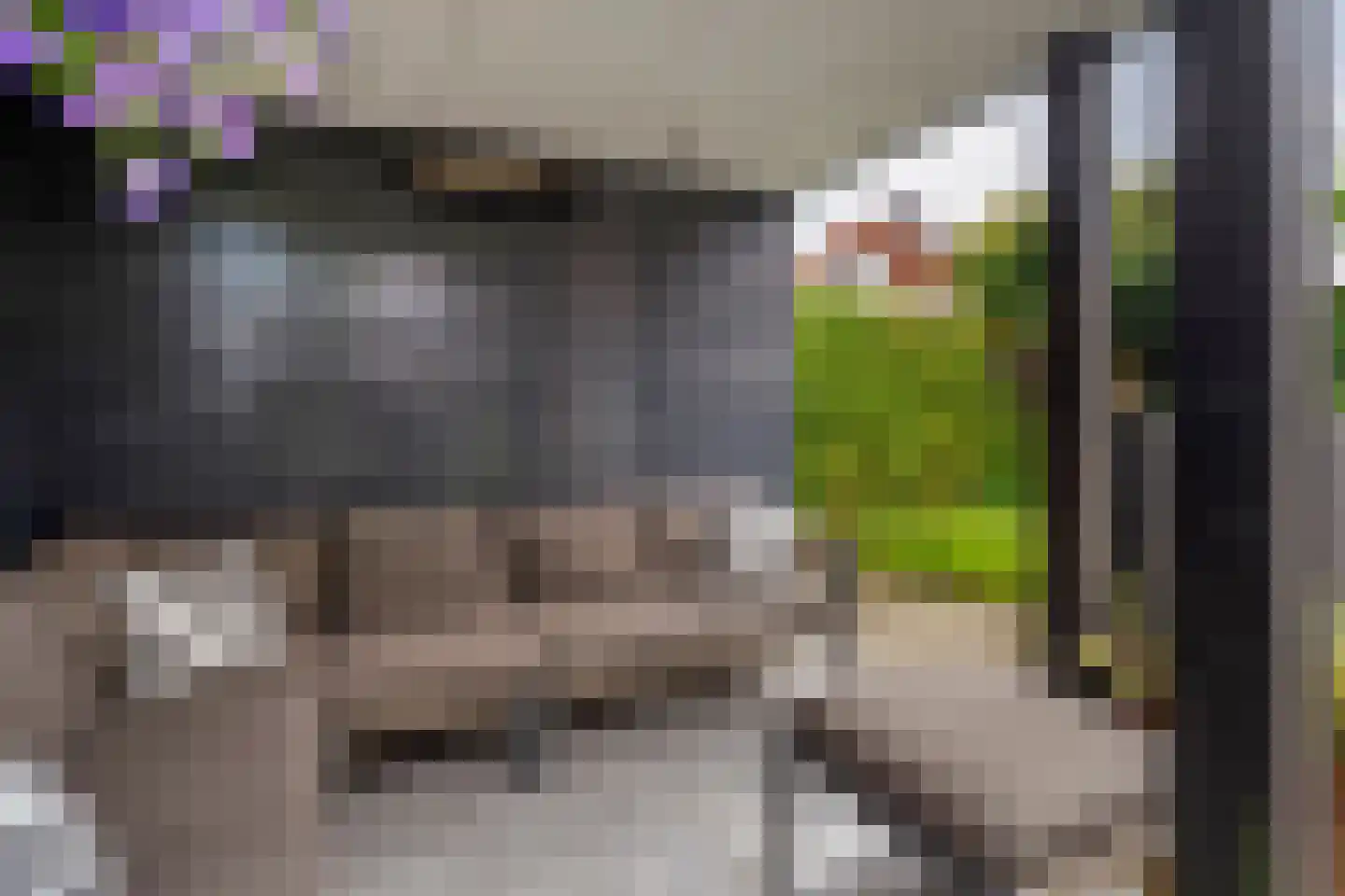 Zuivelhof 1 Raalte thumbnail 50