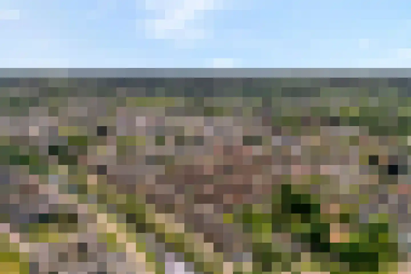 Zuivelhof 1 Raalte thumbnail 55